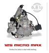 Rotax micro max