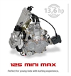 Rotax mini max